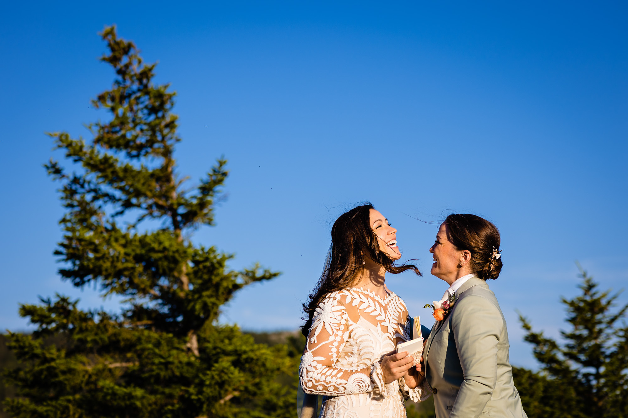 A stunning mountaintop wedding ceremony in Acadia National Park