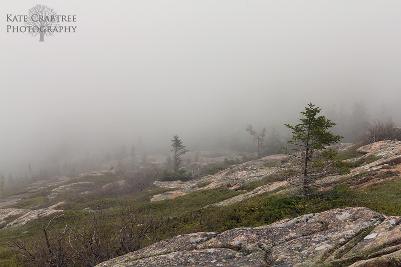 Trip to Bar Harbor and Acadia National Park