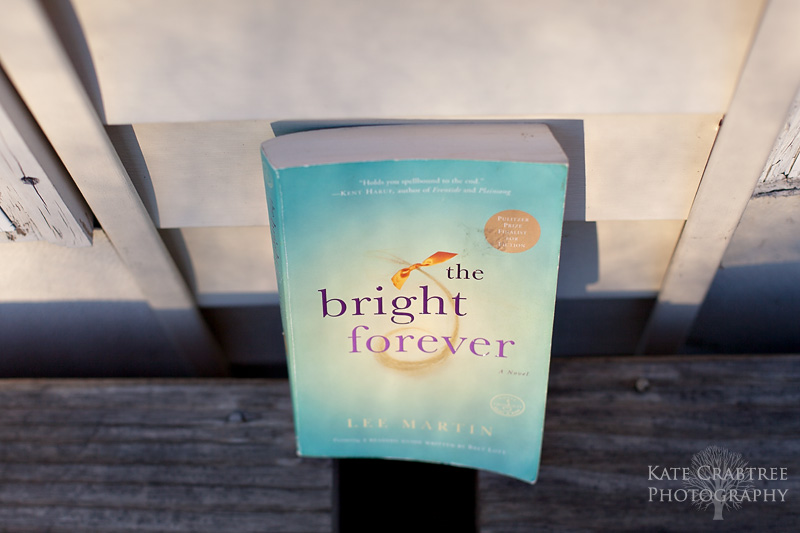 Wordie Wednesday | The Bright Forever, Lee Martin