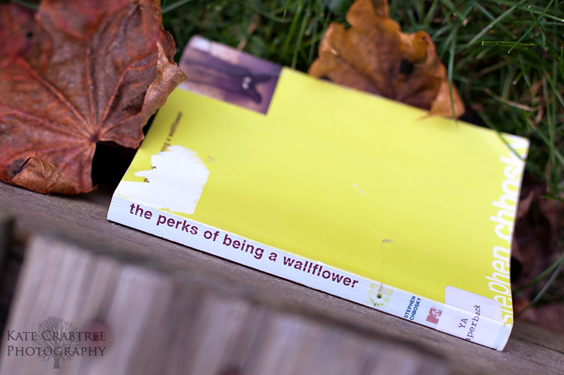 Wordie Wednesday | The Perks of Being a Wallflower, Stephen Chbosky